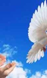 spirit rlease therapy